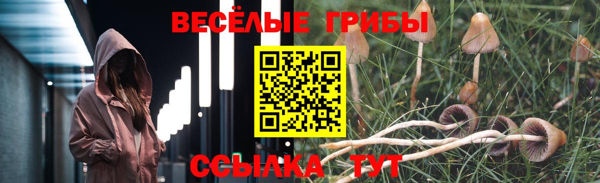 Галлюциногенные грибы Psilocybe  Вход с VPN  купить наркоту  Домодедово 