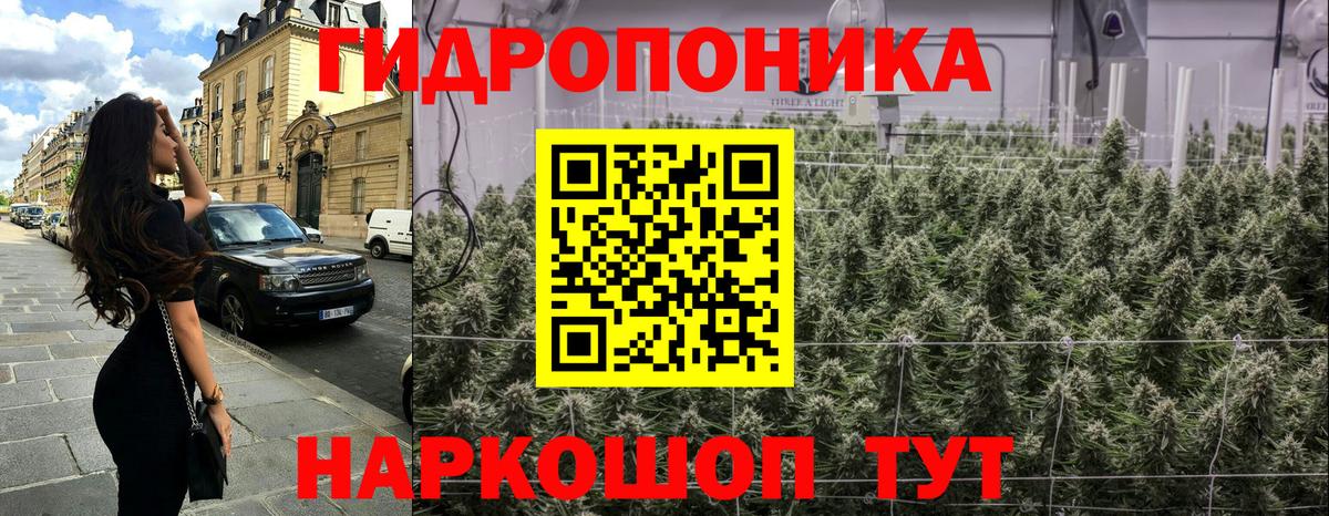 Канабис план  Вход с VPN  Домодедово  Бошки Шишки OG Kush  Конопля ГИДРОПОН 